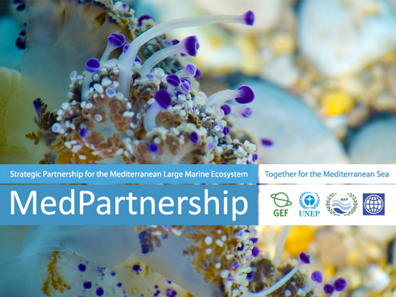 The Strategic Partnership for the Mediterranean Sea Large Marine Ecosystem