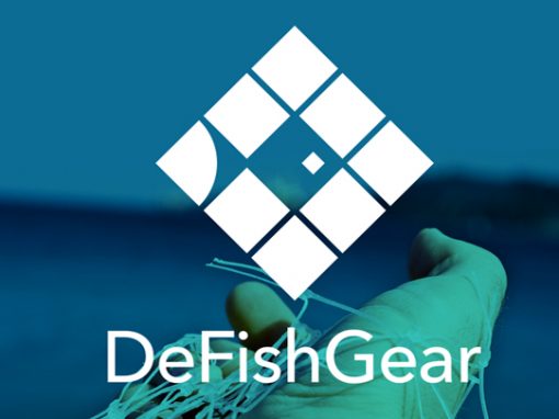 Derelict Fishing Gear Management System in the Adriatic Region