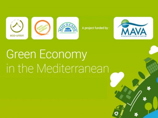 Green Economy in the Mediterranean