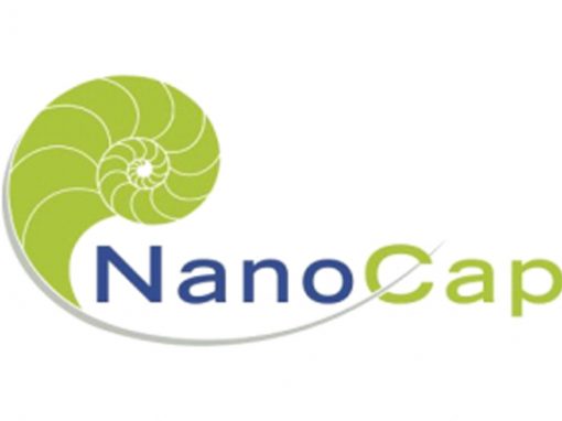 Nanotechnology Capacity Building NGOs