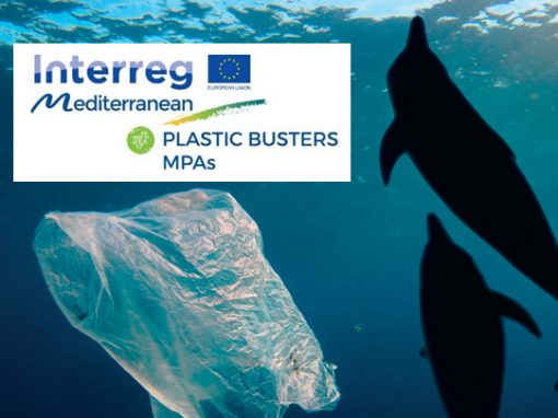 PlasticBusters MPAs