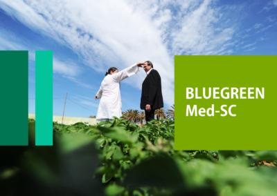 BlueGreen Med-CS: Networking Civil Society in the Mediterranean region through environment and water issues
