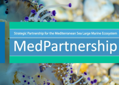 The Strategic Partnership for the Mediterranean Sea Large Marine Ecosystem