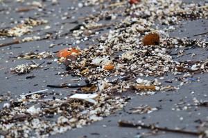 Microplastics in Arrilas beach