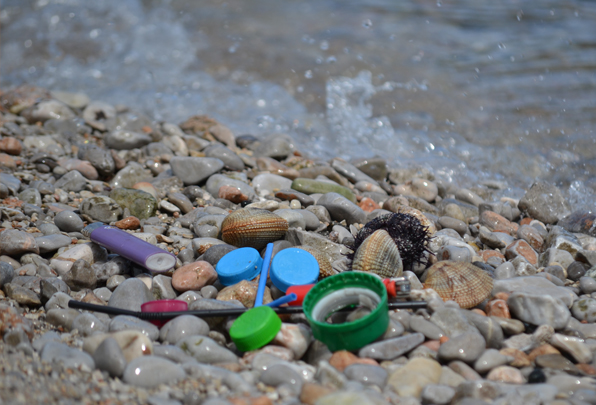 Marine Litter Watch: Citizens in action to track marine litter