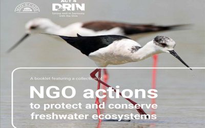 MIO-ECSDE/Act4Drin publication showcasing NGO actions to protect and conserve freshwater ecosystems launched today!