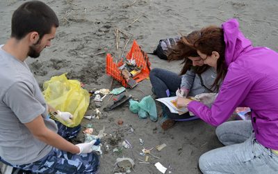 Balkan students carry out a marine litter survey in the delta of the Buna/Bojana river