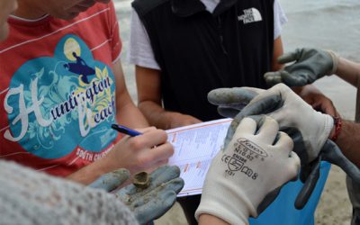 Join the Marine Litter Watch Month!