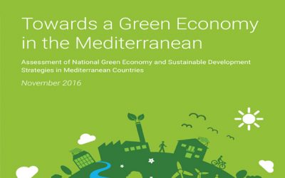 Wondered how Green Economy is faring in the Mediterranean? Read our study!