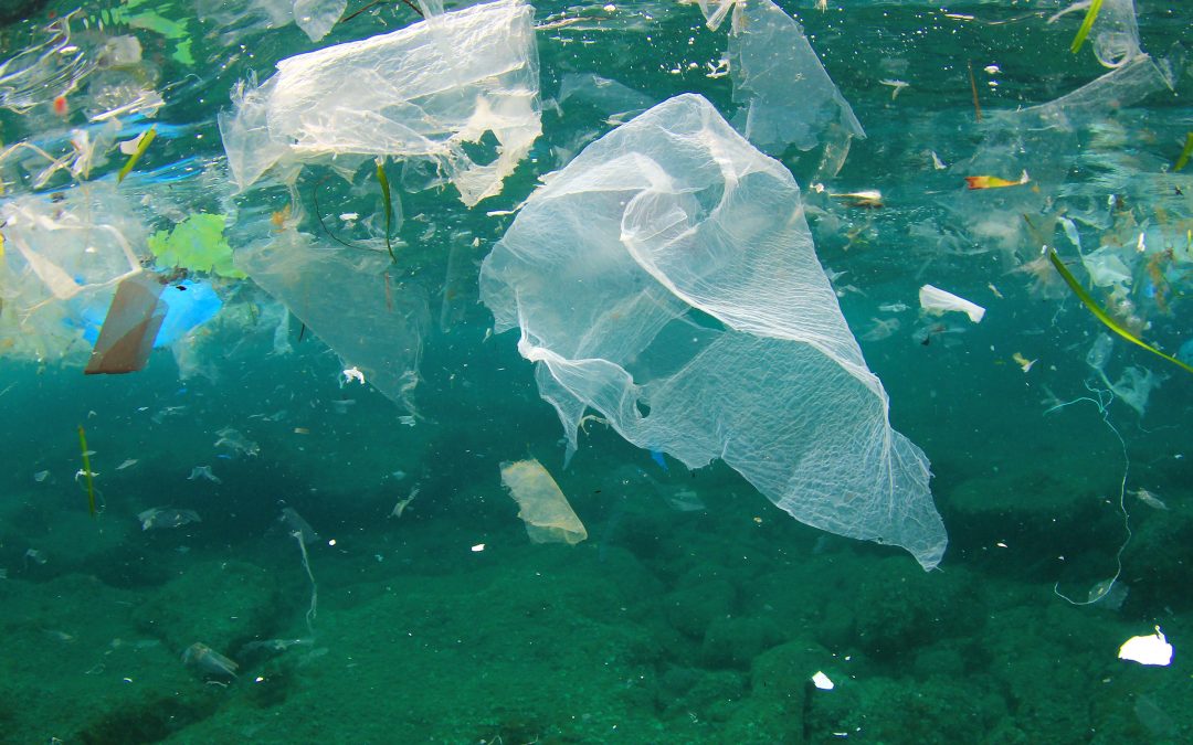 The Adriatic and Ionian Seas impacted by marine litter, new study finds