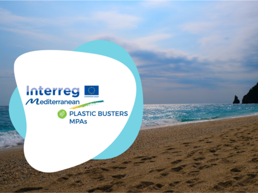 PlasticBusters MPAs