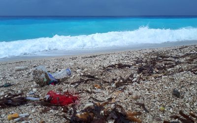 Join the Marine Litter Watch to track marine litter!
