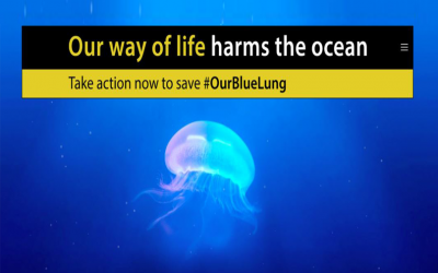 Save #OurBlueLung: 35 NGOs join forces and urge EU ministers to commit to 20 measures to protect our seas by 2020