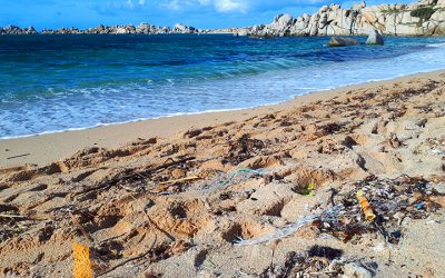 Marine litter is building up in Mediterranean coastal and marine protected areas, reveals new report