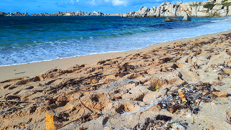 Les déchets marins s’accumulent dans les zones côtières et marines protégées de la Méditerranée, révèle un nouveau rapport