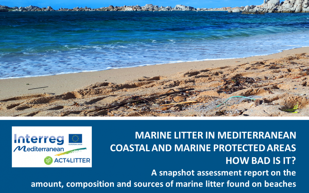 Marine  Litter  in  Mediterranean  coastal  and  marine  protected  areas.  A  snapshot  assessment  report  on  the  amounts,  composition  and  sources  of  marine  litter found on beaches. Interreg Med ACT4LITTER & MIO-ECSDE, 2019