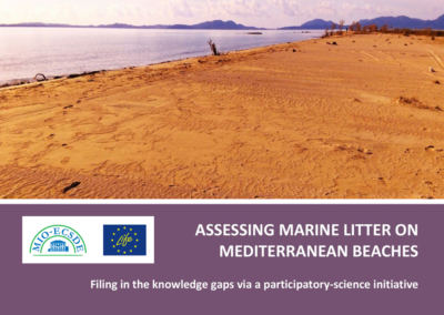 Assessing marine litter on Mediterranean beaches. Filling in the knowledge gaps via a participatory-science initiative. Vlachogianni Th. MIO-ECSDE, 2019