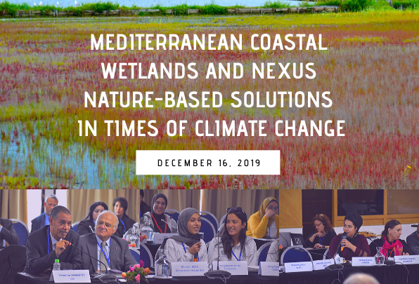 Journalists and MIO-ECSDE member NGOs now better equipped to protect disappearing coastal wetlands of the Mediterranean