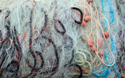 Moving forward on EU measures to ensure a circular design of fishing gear for the reduction of environmental impacts