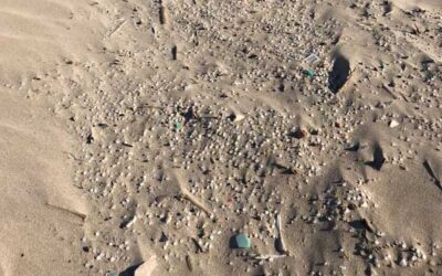 Mare Terra Fundació Mediterrània fights plastic pollution in Costa Daurada