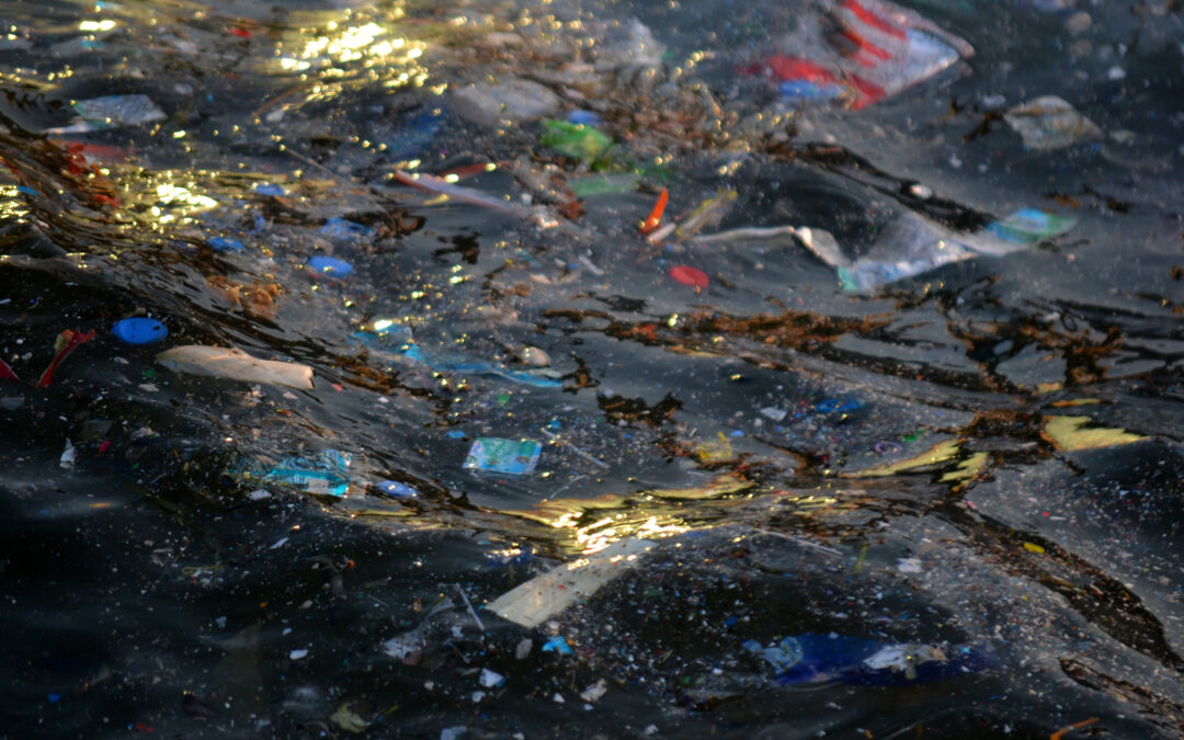 Garder les mers d’Europe propres : un nouveau manuel pour la surveillance harmonisée des déchets marins