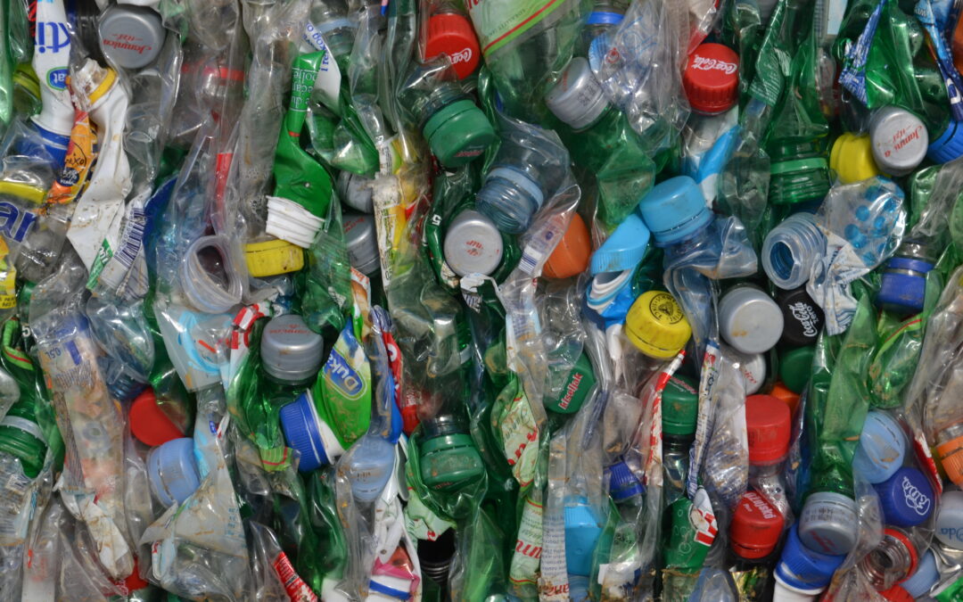 18+1 activités qui aident et inspirent les élèves à adéquatement gérer les déchets plastiques