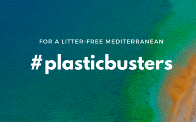 The Plastic Busters MPAs capitalization event: a stepping stone in consolidating marine litter management efforts in Mediterranean MPAs