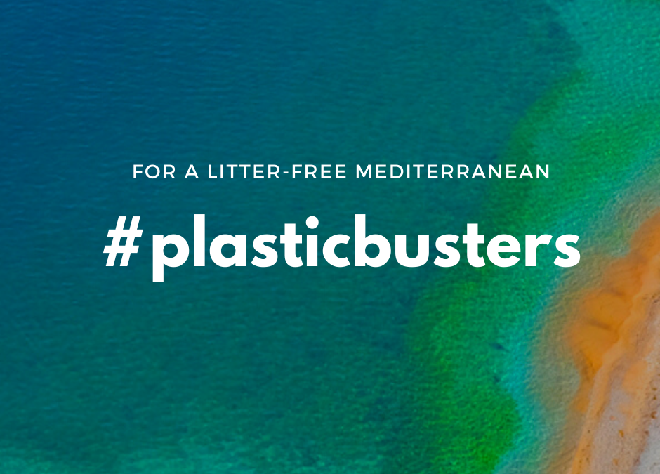 The Plastic Busters MPAs capitalization event: a stepping stone in consolidating marine litter management efforts in Mediterranean MPAs