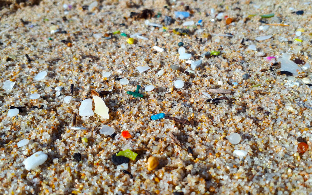 Combating marine litter in the southern Mediterranean through an integrated and strategic management approach: new project kicks off!