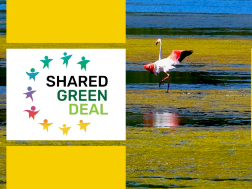 Shared Green Deal