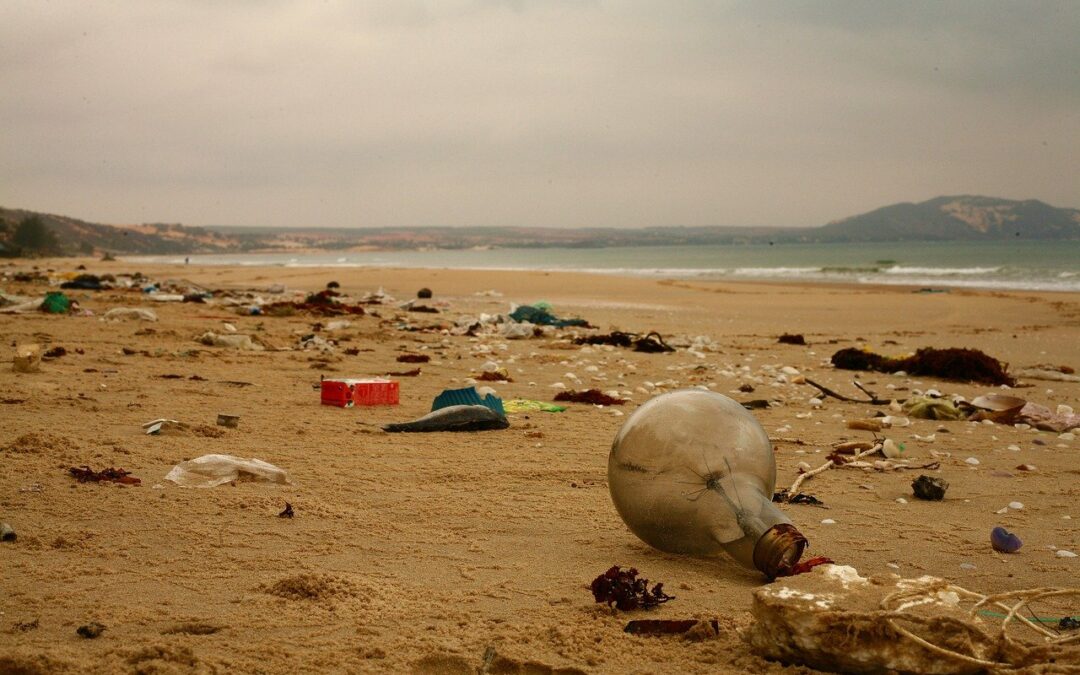 Bonnes pratiques pour la réduction des déchets en Méditerranée: 20 cas disponibles en anglais et en français