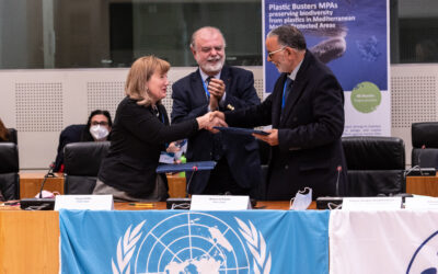 COMPSUD and UNEP/MAP step up cooperation for sustainable development in the Mediterranean region