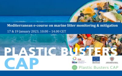 Plastic Busters CAP e-course on marine litter monitoring and mitigation: grab the opportunity and join us!