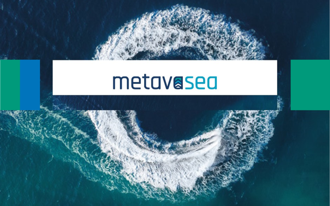 METAVASEA