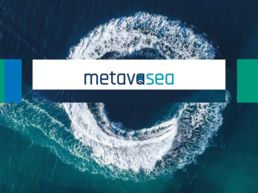 METAVASEA