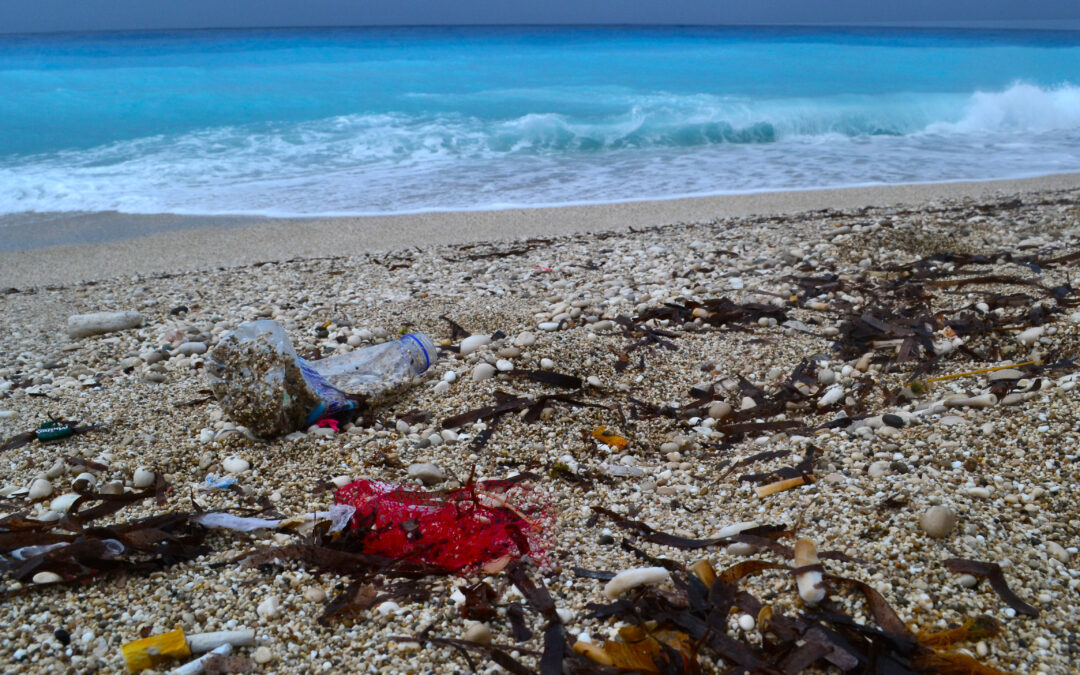 HEAD mène sa 9ème campagne de nettoyage des plages tout au long de la côte libanaise