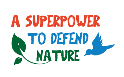 Engaging children with developmental disorders: “A Superpower to Defend Nature”