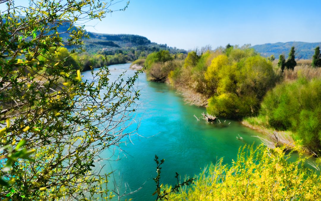 TETHYS4ADRION launches field activities in Greece with first mission to Alfeios River