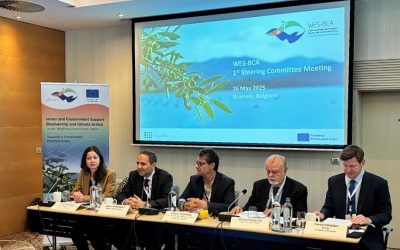WES-BCA First Steering Committee Meeting gives green light to project’s work plan