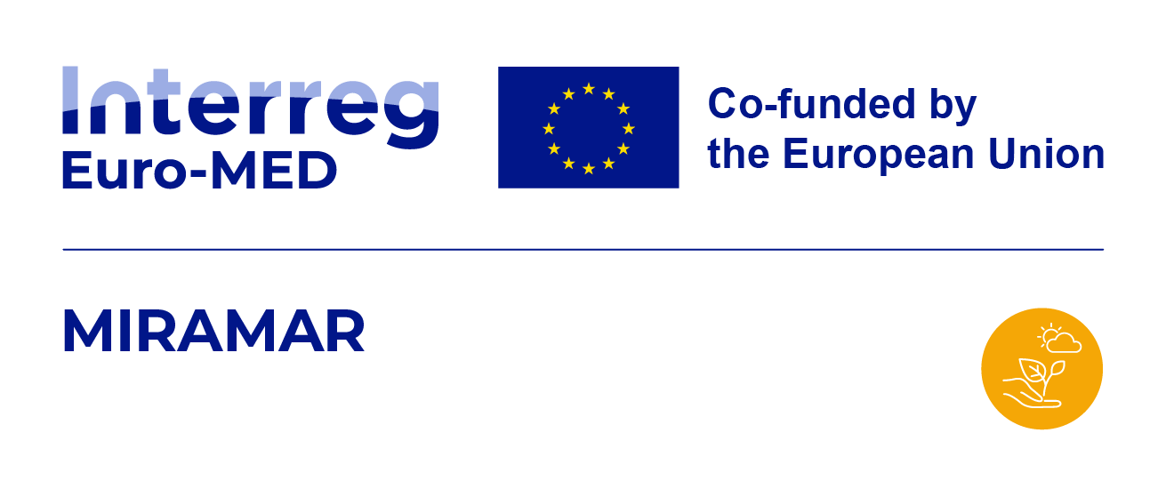 Interreg_Euro_MED_Standard_Logo_PANTONE_EN