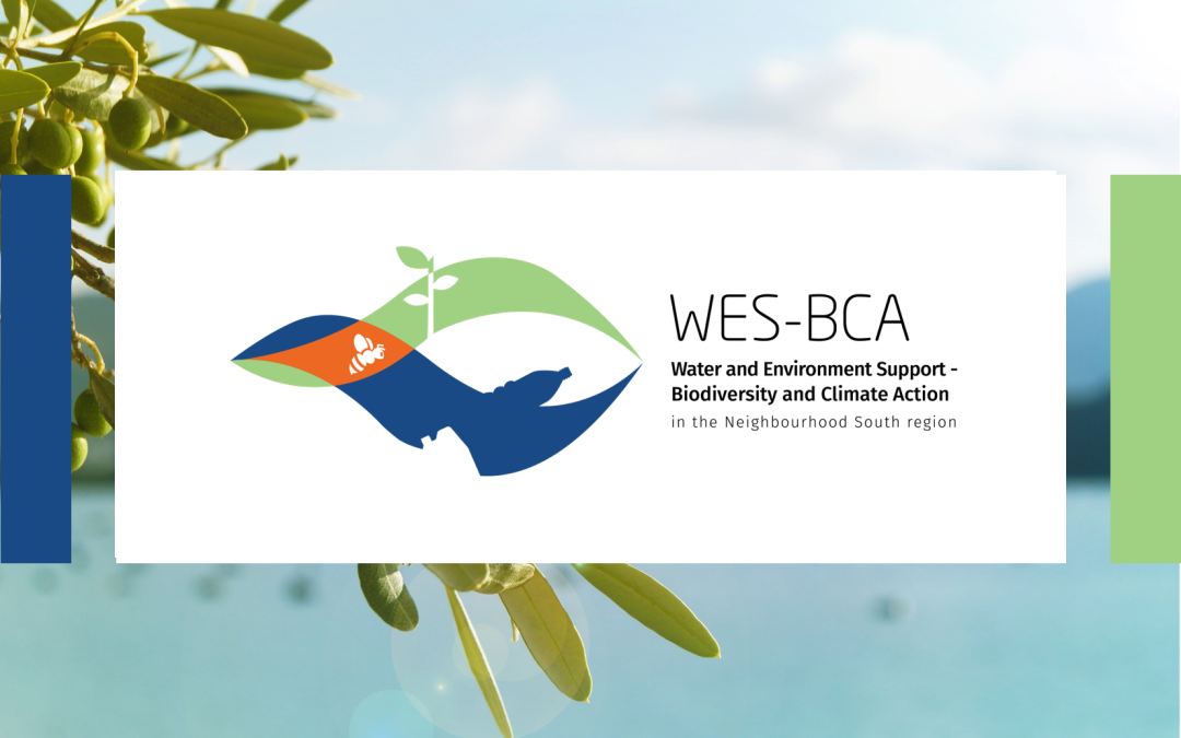 WES-BCA