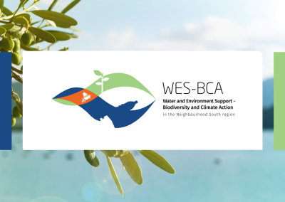 WES-BCA