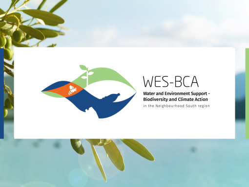 WES-BCA
