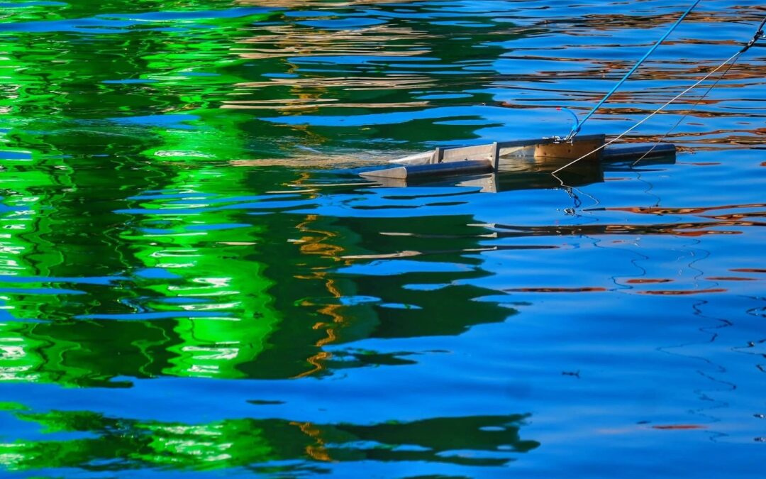 TETHYS4ADRION intensifie ses efforts : surveillance des déchets fluviaux et renforcement des capacités dans la région adriatique-ionienne