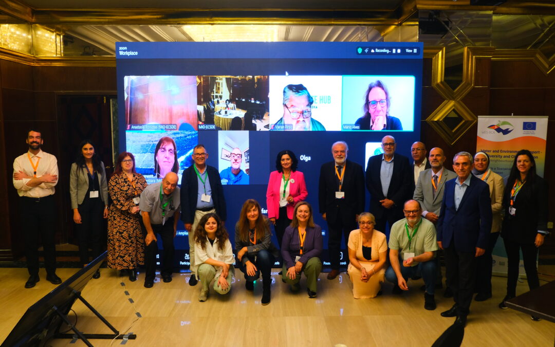 30th AGM of MIO-ECSDE takes place in Cairo