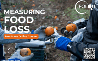 FOLOU releases its second online course on measuring food loss