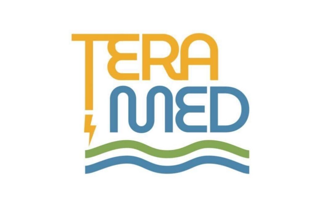 The TeraMED momentum: regional webinar organized by RAED