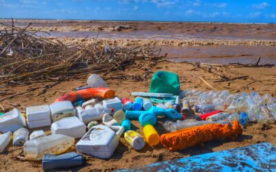 TETHYS4ADRION: 3-Day Field Visit to Alfeios River to Monitor Litter and Co-Define Solutions with Stakeholders