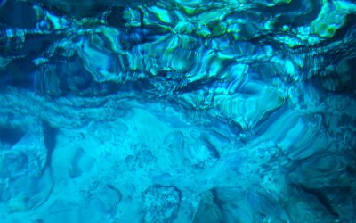 Mediterranean Leadership Reaffirmed at UN Ocean Conference 2025 in Nice